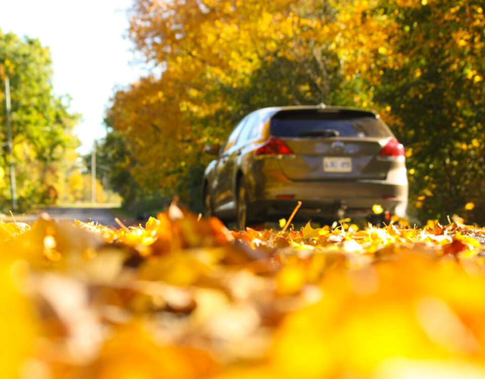 thanksgiving-car-maintenance-tips-to-keep-you-going